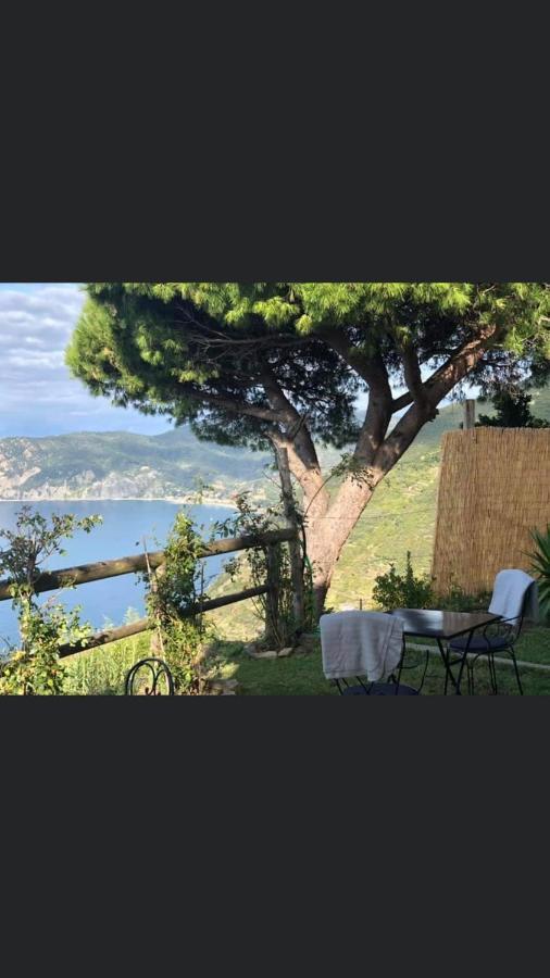 Casa Valeria Vernazza Eksteriør billede